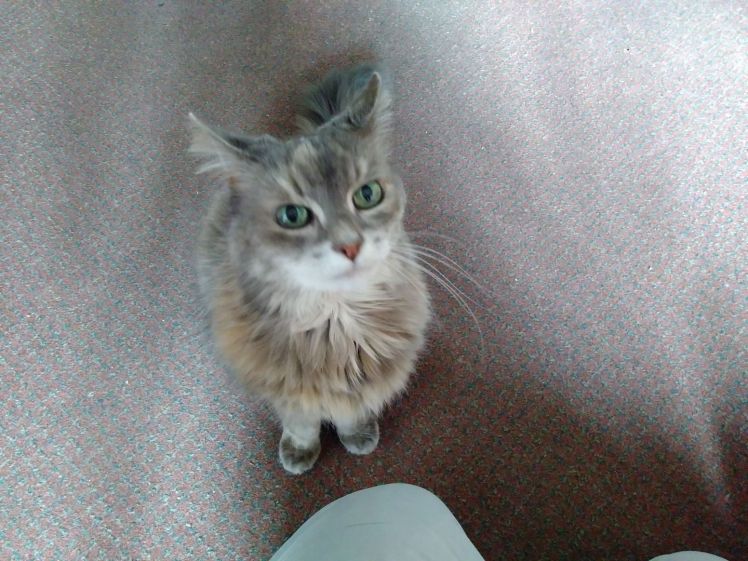 27983139_10157189350424447_5663439986432141468_o