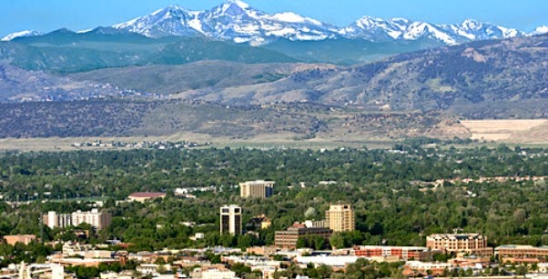 In the Company of Plants and Rocks: bold or striking would ...